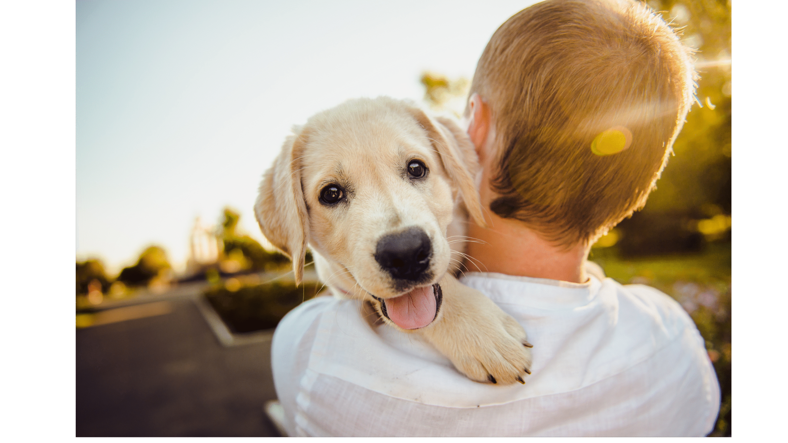Well-being of animals