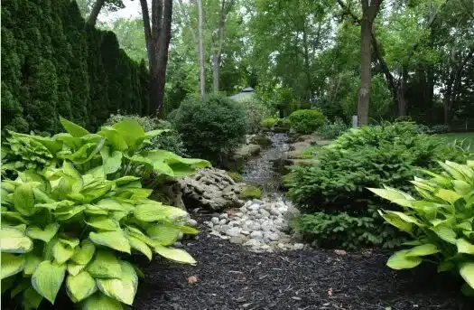 Lush backyard garden with stone-lined stream