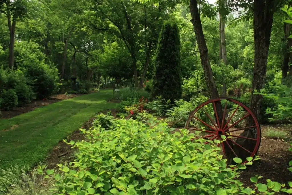 Shaded garden path with antique red wagon wheel